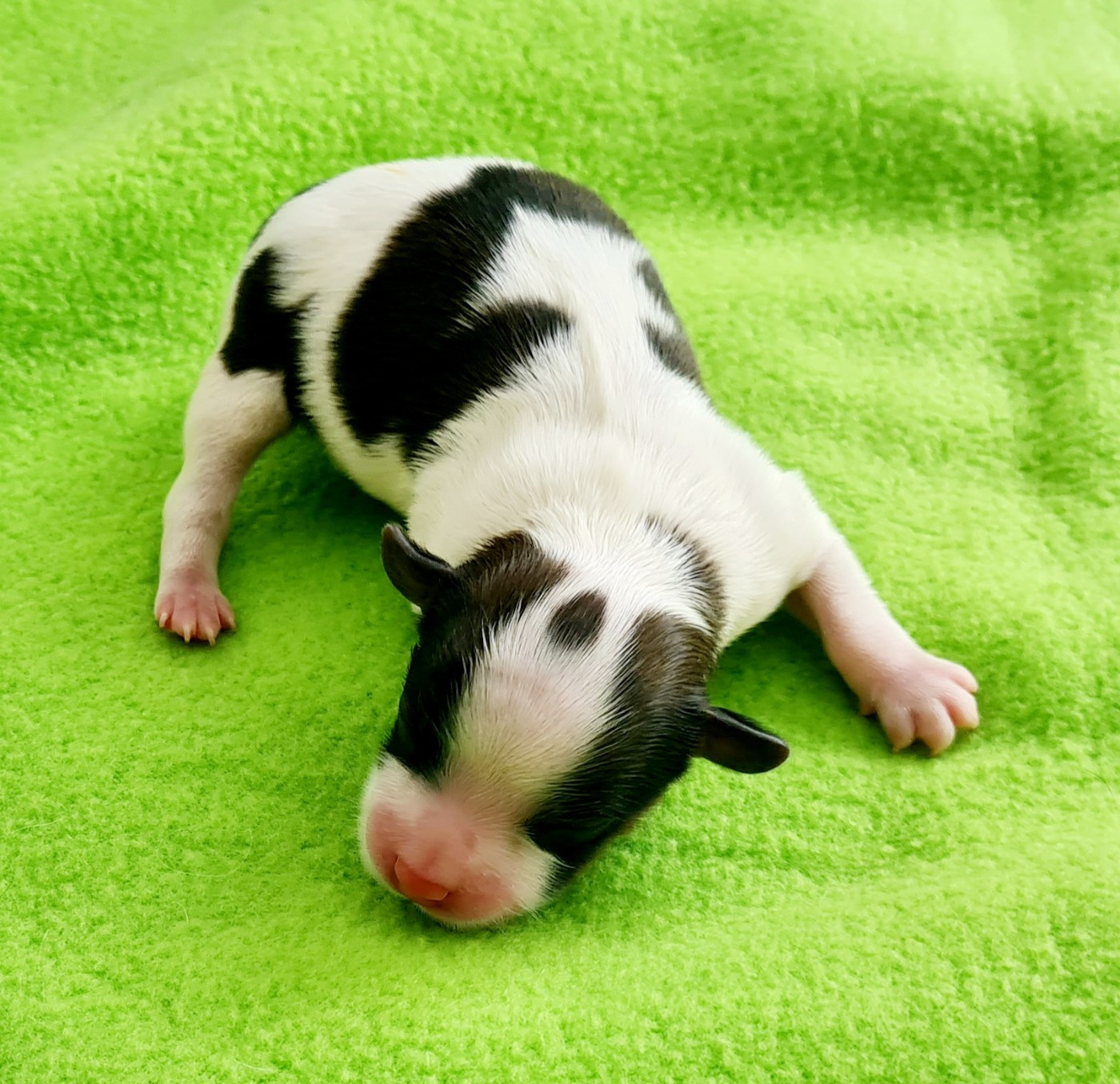 Les Bébés sont Née ce Matin 24/01/2026