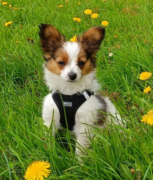 Des petites nouvelles de Baci