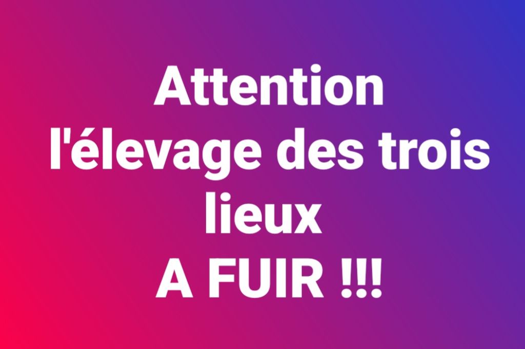 ATTENTION 
